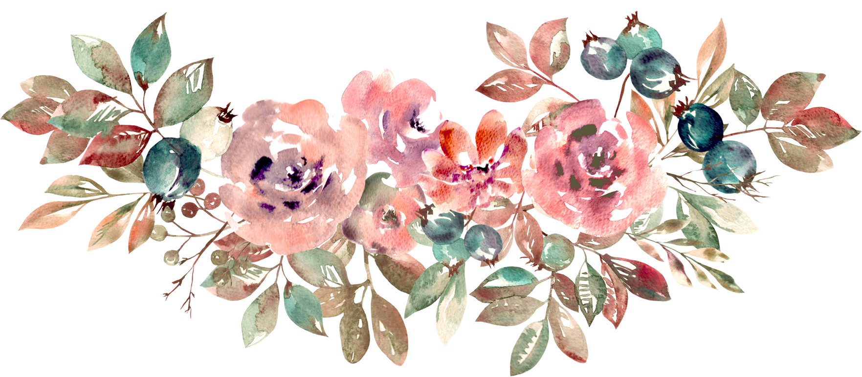 Illustration of Flowers